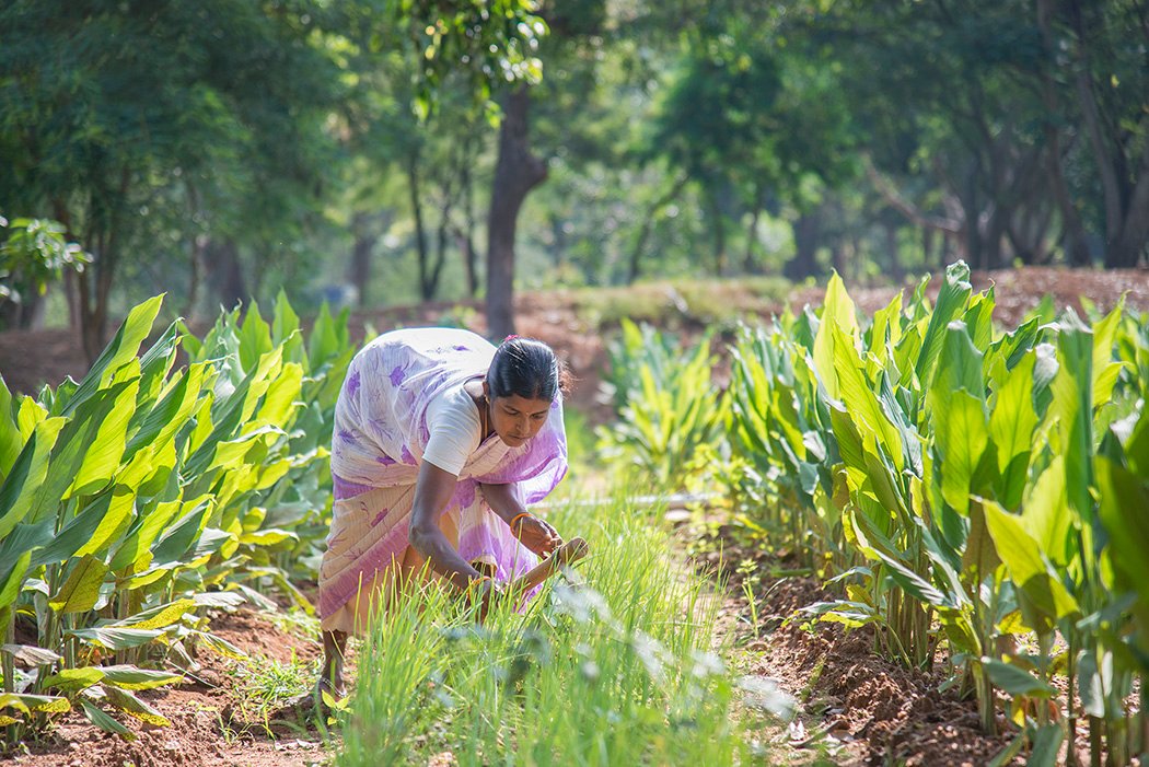 Old Age Home